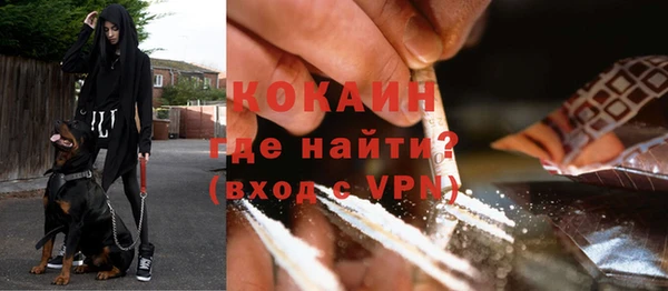 гашик Переславль-Залесский
