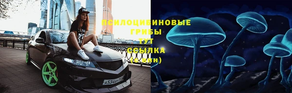 прущие крисы Абинск