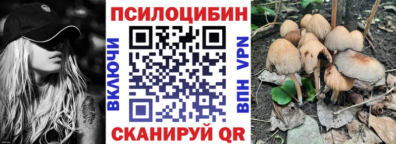 где найти   Краснокамск  блэк спрут ТОР  Галлюциногенные грибы Psilocybe 