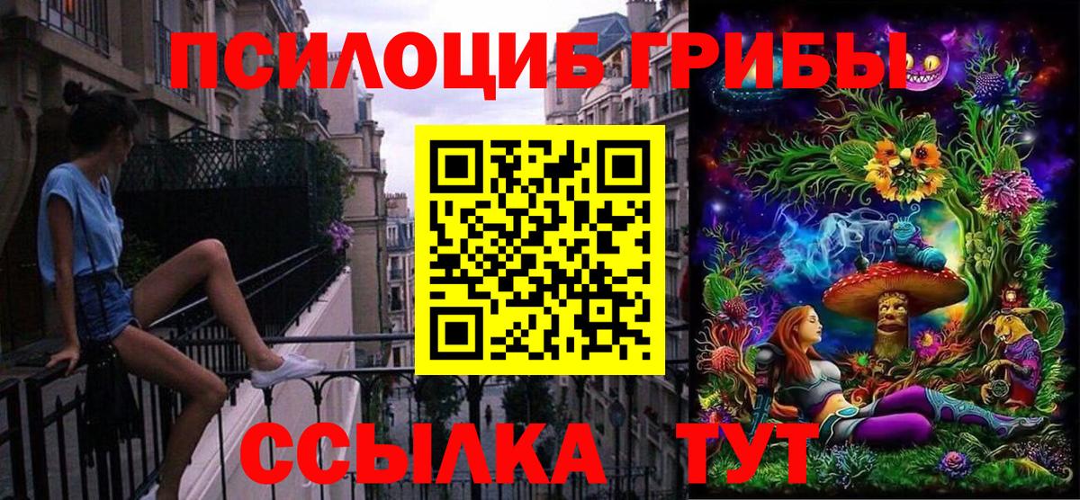 Галлюциногенные грибы Psilocybine cubensis Краснокамск