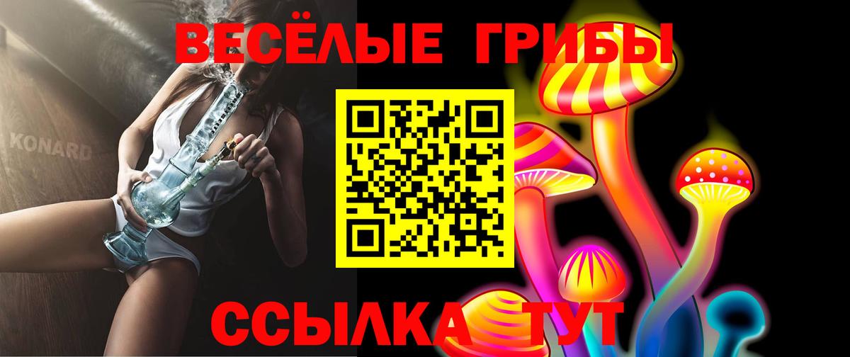 Краснокамск  как найти   Вход с VPN  Галлюциногенные грибы Psilocybe 